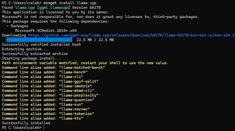 Using a Local LLM | Visual Studio Integration – Code Completion with ...